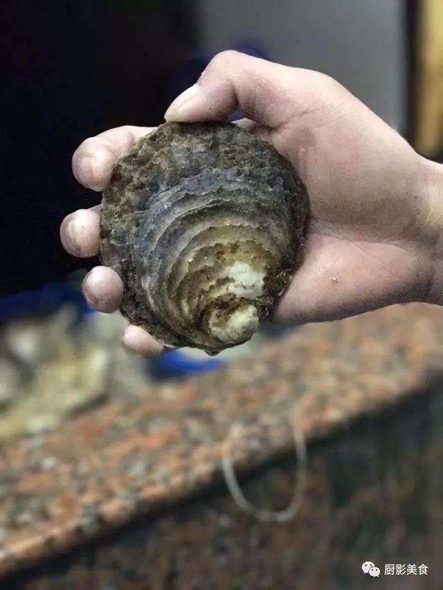 花胶选几级的 花胶等级顺序鱼胶排名大全