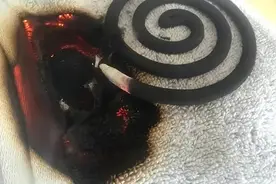 驱蚊“神器”易惹火，用它时这个细节别忽略！图片