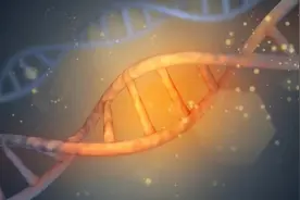 带给人类进步，也可能因误用滥用带来潜在安全风险及伦理问题图片