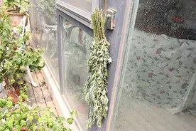 毒五月来袭，如何养生？饮食牢记“3吃3不吃”，消暑解毒少生病图片