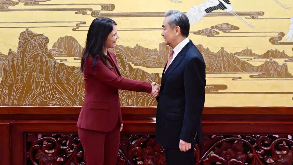王毅:不能任由谁拳头硬谁说了算