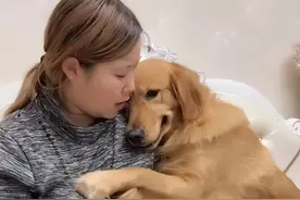 其实你养的狗，反映了你的性格，网友：太准了图片