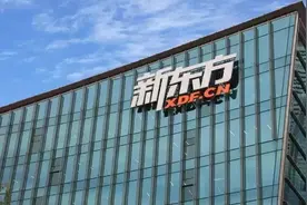 新东方的转型给我的启示图片