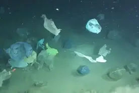 1万多米深的海底有什么？科学家发现了不该发现的东西：塑料图片