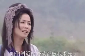 王宝钏挖野菜火了，历史原型也是个恋爱脑？图片