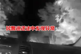 江苏南京：我认得你！图片