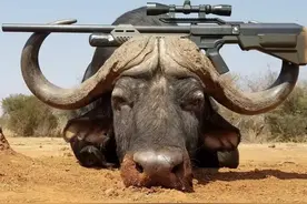 .357、.45和.50口径弹丸适用于狩猎哪些动物图片