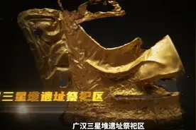 100秒了解四川考古“双子星”图片