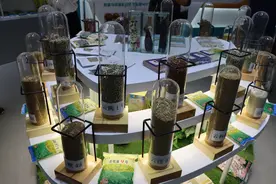 完善硬环境提升软实力 嵩明县“美丽经济”如花绽放图片