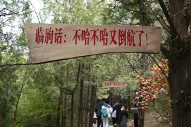 这些潍坊市临朐地方话，你懂吗？图片