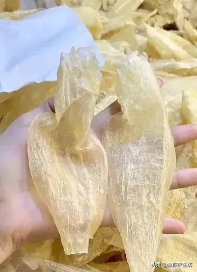 巴沙鱼胶的功效 2026年巴沙鱼胶的功效与禁忌