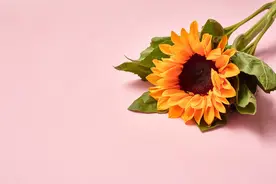 子女和父母不亲，大多是经历了“三事”图片