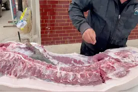 猪身上的部位图，一张图，让小白轻松看懂什么肉，从此买肉不糊涂图片