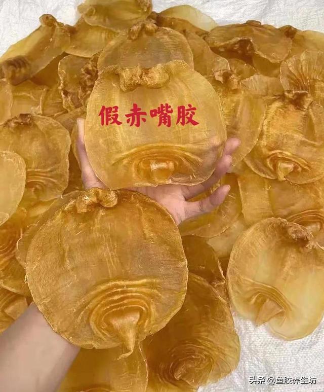 本港赤嘴鱼胶 2026年本港赤嘴鱼胶好不好 本港赤嘴鱼胶 2026年本港赤嘴鱼胶好不好