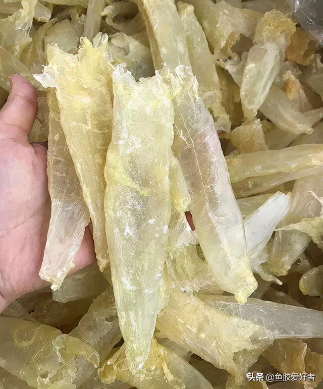 巴沙鱼胶和鳕鱼胶哪种好 2025年巴沙鱼胶和鳕鱼胶哪种好吃