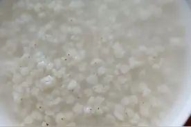 东北00后小伙在上海月薪过万，晒自己做的晚餐，网友：想做你女友图片