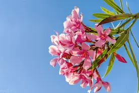 当别人问你有多少存款时，聪明的人会这么回答图片