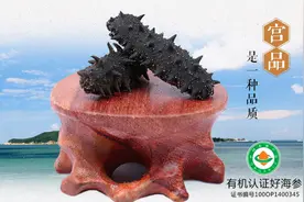 宫品海参：冬季里推荐三种经典海参做法图片