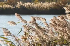 2023年“双春年，闰二月”啥意思？有哪些预兆，古人的谚语怎么说图片