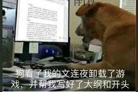 网文作家专用表情包图片