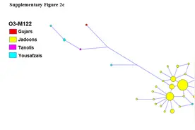 巴基斯坦北部山区贾顿Jadoon部族有76%的父系属于O2图片