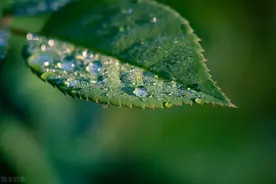 停留是刹那，转身是天涯，谁把光阴，剪成了烟花图片