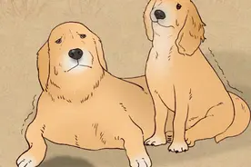 狗朝着没人的地方狂吠，是看到了什么「不干净」的东西吗？图片