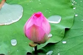 唐代 怀感、法祥、宝相、功迥四位法师传记图片