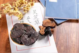 灵芝孢子粉：到底是养生好物还是慢性毒药？肿瘤患者能不能吃？图片