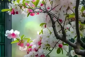 日常生活50条小妙招图片