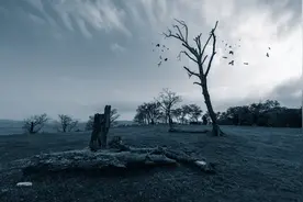 苏轼最孤独的一首词，写尽了人生的孤独和凄凉，不忍卒读！图片