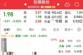 包钢股份、京东方A让你知道什么才是真正的垃圾股图片
