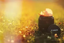 你有没有钱，其实是命中注定的，看两个地方就知道图片