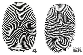 “斗越多越富贵”？康熙10个“簸箕”,科研团队揭示指纹的奥秘图片