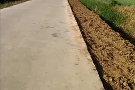 乡村道路太狭窄，车辆会车难，回家乡的人体验感打折扣图片