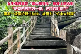 女子路遇超级国宝“莽山烙铁头”近距离合照 博主怒斥图片