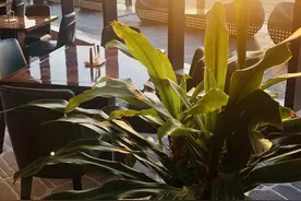 2023年初中学业水平模拟考试语文试题图片