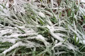 这鬼天气，可把受灾农民害惨了图片