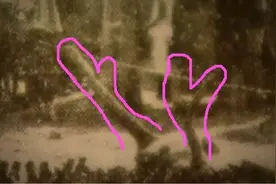 1934年辽宁营口发生坠龙事件，70年后有人上交龙骨，揭开坠龙谜团图片