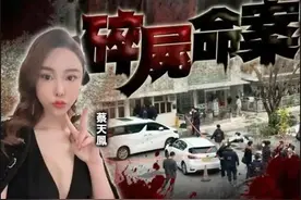 萝卜人头汤 纸人引魂 蔡天凤案不为人知的隐秘图片