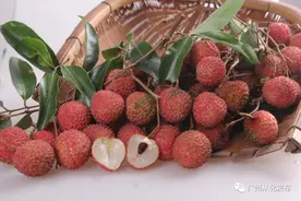 江埔荔枝“红”！正宗从化水厅桂味就等你！图片