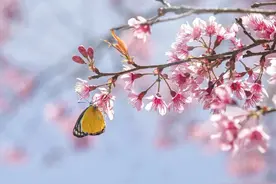 丈夫和我妈的关系，亲密到变态，可他俩却一点不懂得避嫌图片