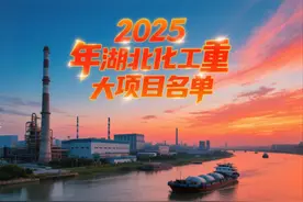 2025 年湖北化工重大项目名单图片