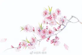 古代最美结婚誓词，最经典的证婚人致辞图片