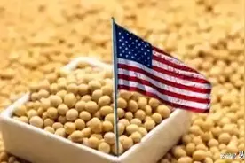 为什么美国宁可赔钱，也要出口粮食给其他国家？萨沙问答第166集图片