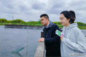 有诗有酒有龙虾！快来苏州红旗村邂逅这份春夏“顶流”图片