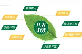 几块钱一斤的蔬菜，不仅能解三种毒，还能排湿，现在知道还不算晚图片