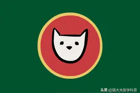 提神醒脑、去除emo，咖啡真就是神器吗？图片