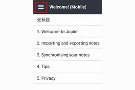 Joplin使用指南！怎么设置中文？图片