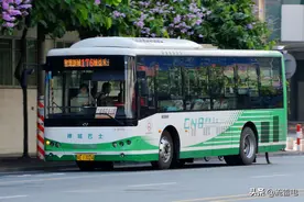 老年人的免费公交卡会被取消吗？这些调整了解一下图片